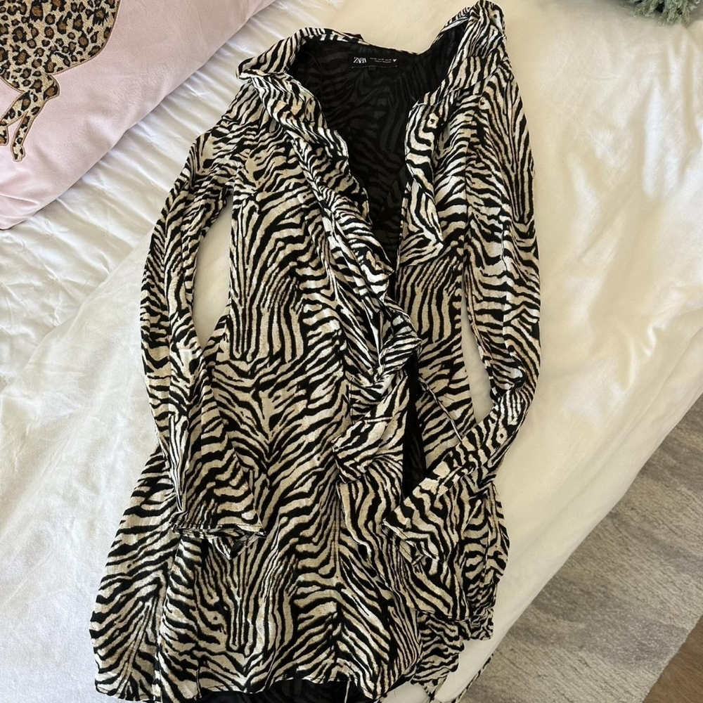 Zara Women's Multi Dress